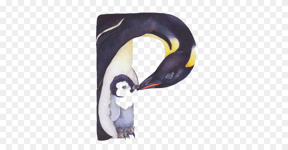 Image, Animal, Bird, Penguin Free Png