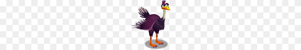 Image, Animal, Beak, Bird Free Png