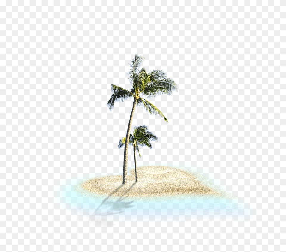 Image, Water, Tree, Summer, Sea Free Png