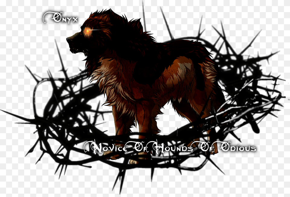 Image, Animal, Mammal, Wolf, Canine Png