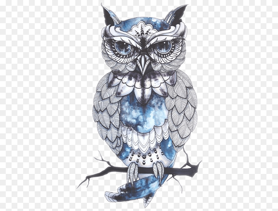 Art, Animal, Bird, Owl Png Image