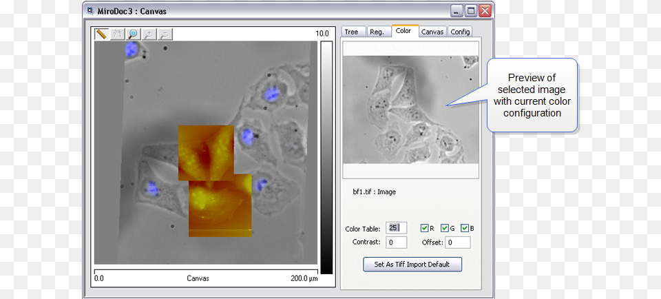 Image, Ct Scan Png