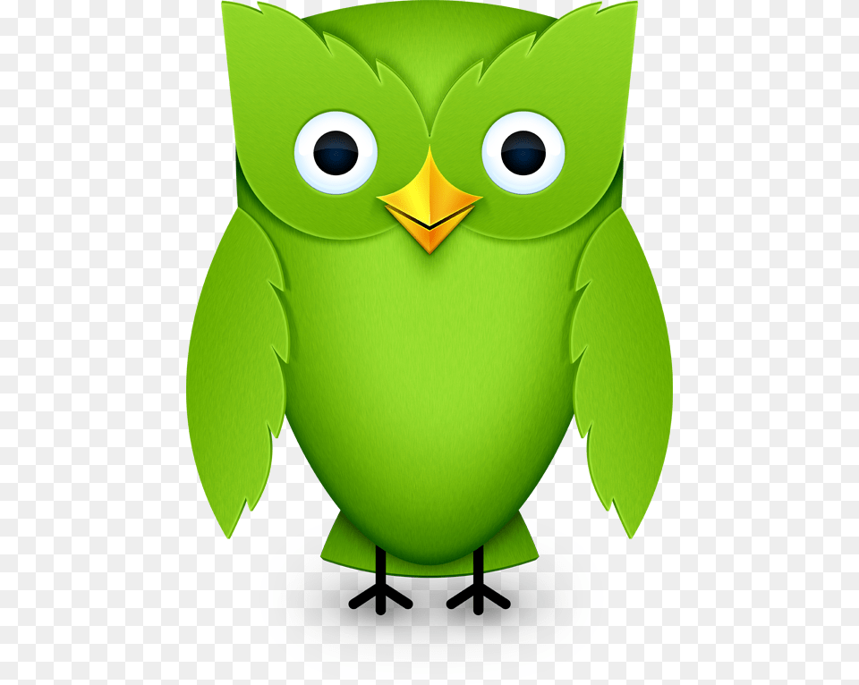 Image, Green, Animal Png