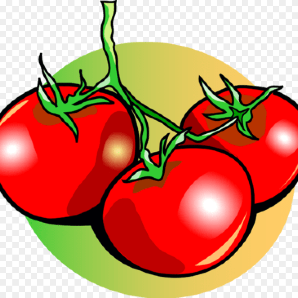 Food, Plant, Produce, Tomato Png Image