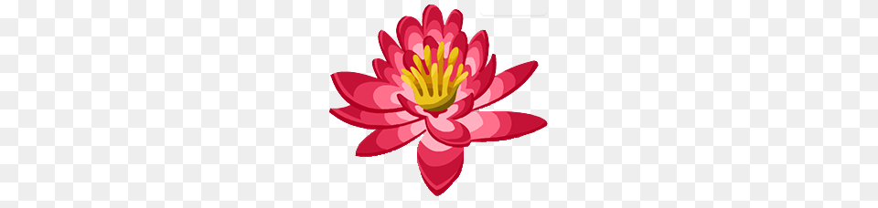 Image, Dahlia, Flower, Petal, Plant Png