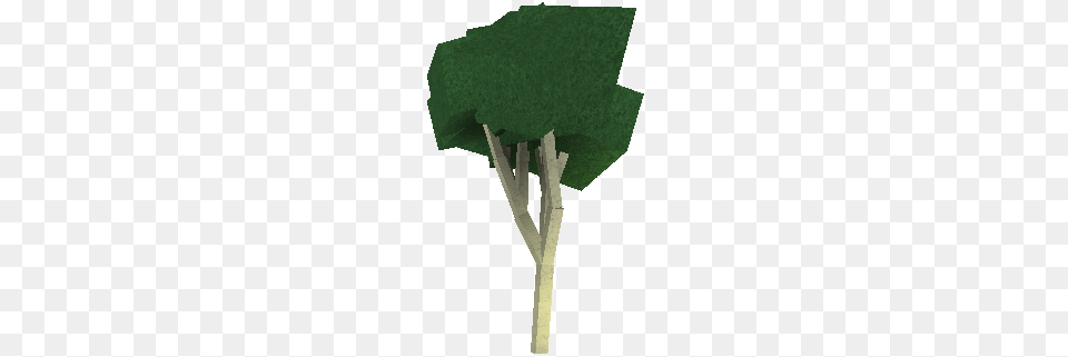 Leaf, Plant, Tree, Cross Png Image