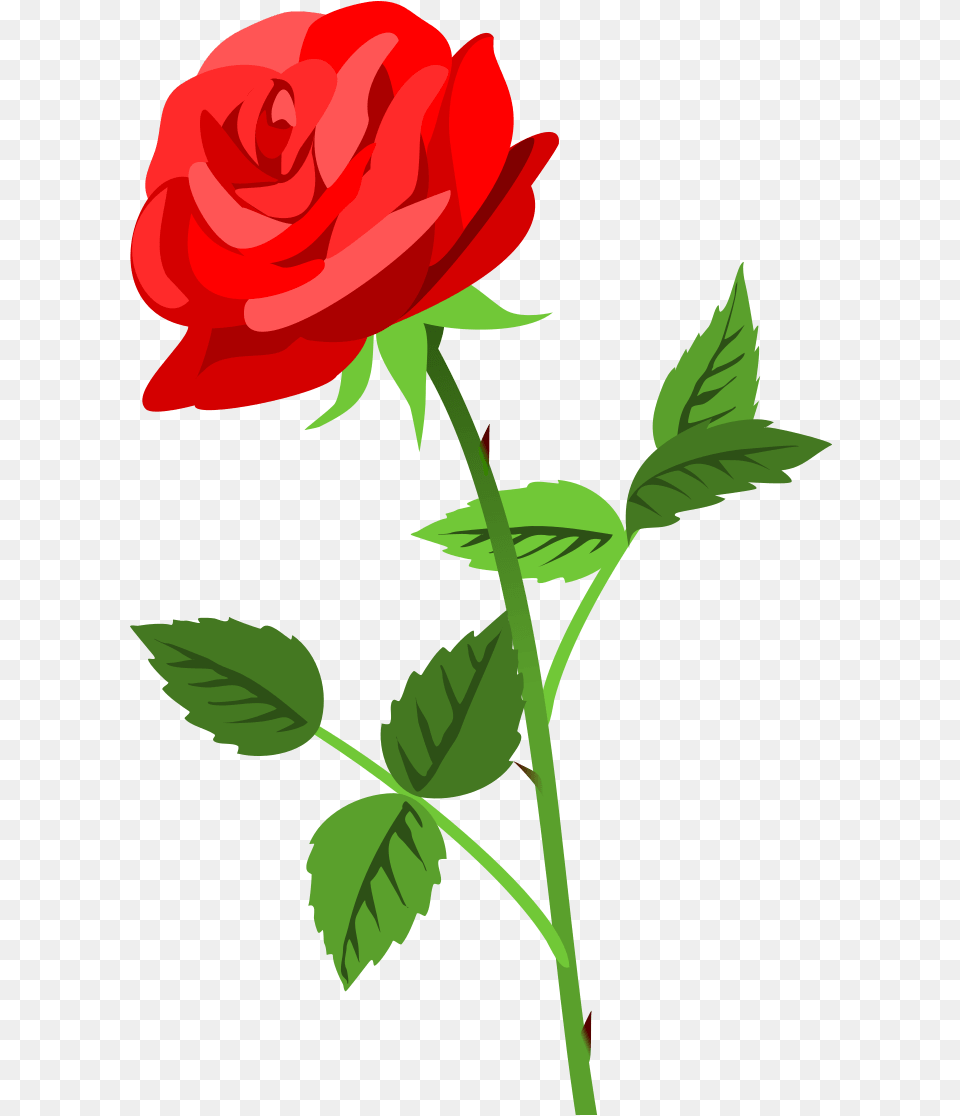 Image, Flower, Plant, Rose Free Png Download