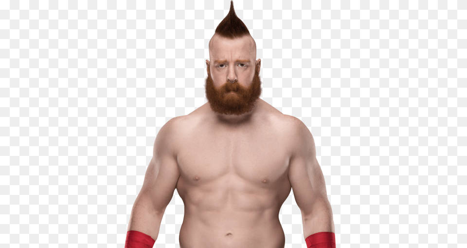 Beard, Face, Head, Person Png Image