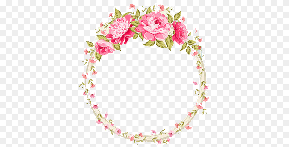 Image, Plant, Flower, Rose, Oval Free Png
