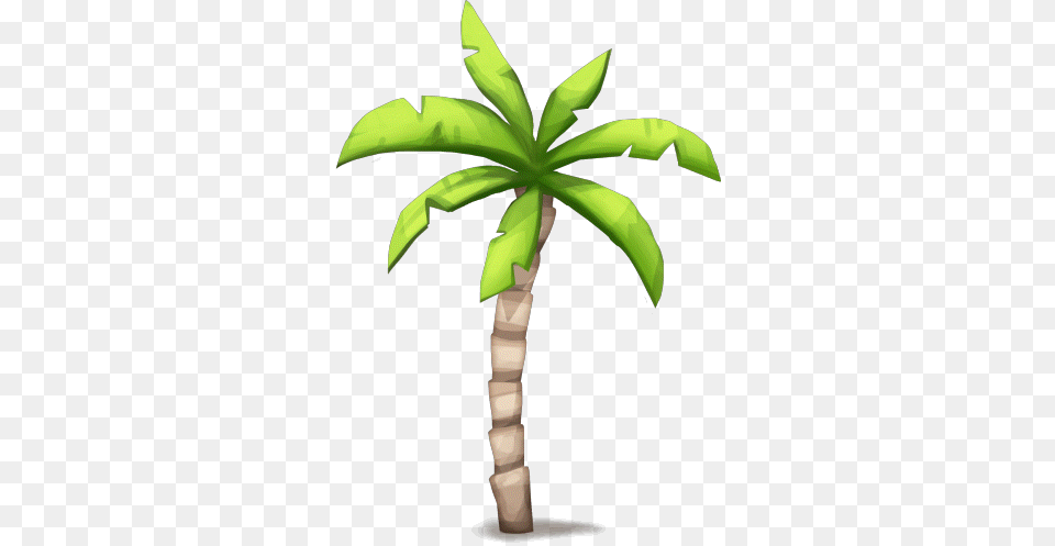 Image, Leaf, Palm Tree, Plant, Tree Free Png