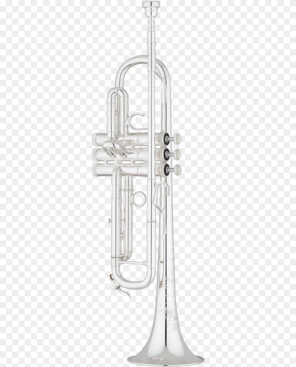 Brass Section, Flugelhorn, Musical Instrument, Horn Png Image