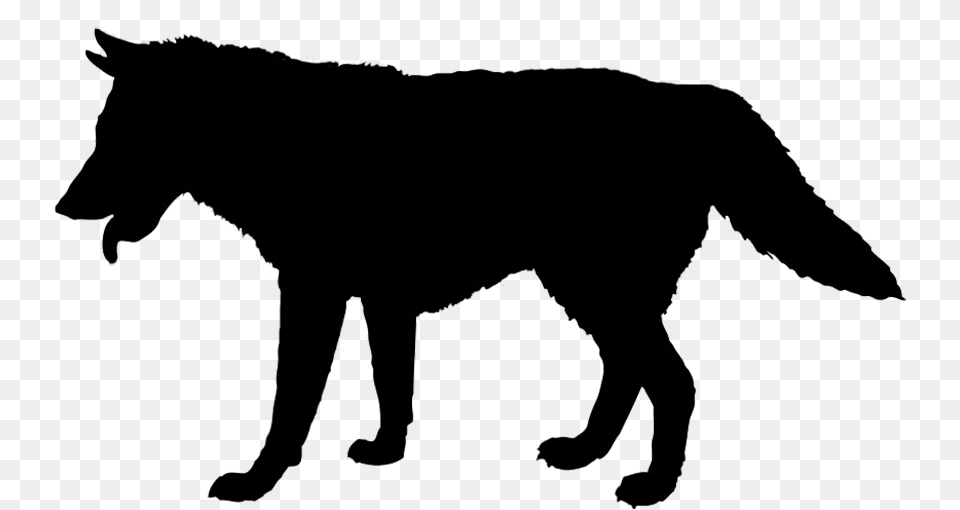 Image, Silhouette, Animal, Mammal, Wolf Free Png Download