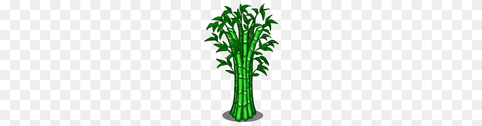 Image, Bamboo, Plant Free Transparent Png