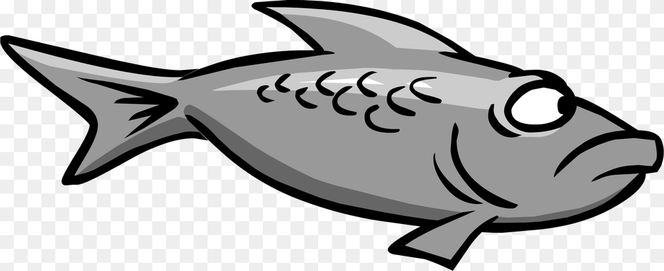 Image, Animal, Fish, Sea Life, Tuna Free Png