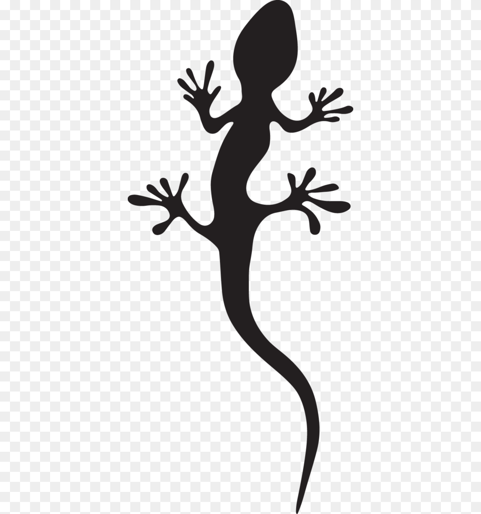 Image, Animal, Gecko, Lizard, Reptile Free Png