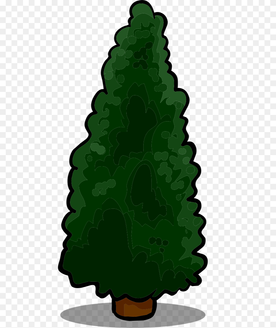 Fir, Green, Pine, Plant Png Image