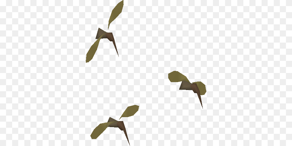 Image, Animal, Wildlife, Mammal Free Transparent Png