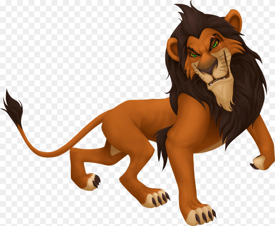 Image, Lion, Animal, Wildlife, Mammal Free Transparent Png