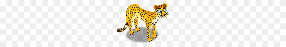 Image, Animal, Cheetah, Mammal, Wildlife Free Png