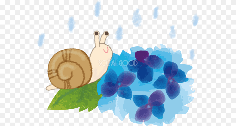 Image, Animal, Invertebrate, Snail Free Png Download