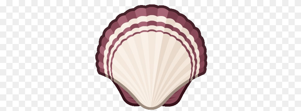 Image, Animal, Clam, Food, Invertebrate Free Transparent Png