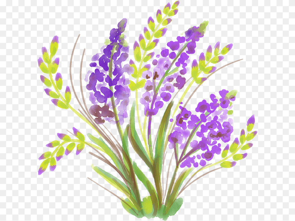 Image, Flower, Plant, Purple, Flower Arrangement Free Png