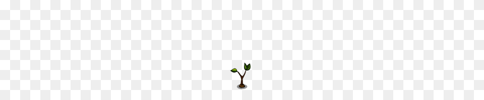 Plant, Bud, Flower, Leaf Png Image