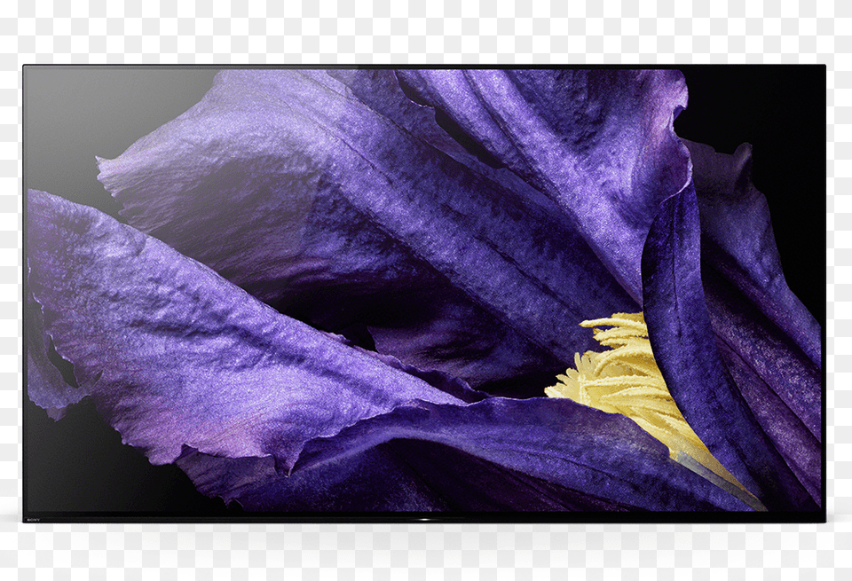 Image, Iris, Pollen, Plant, Flower Free Png