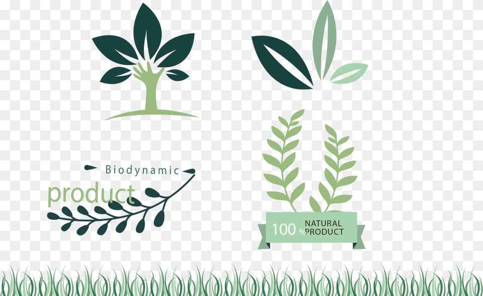 Image, Vegetation, Plant, Leaf, Herbs Free Transparent Png