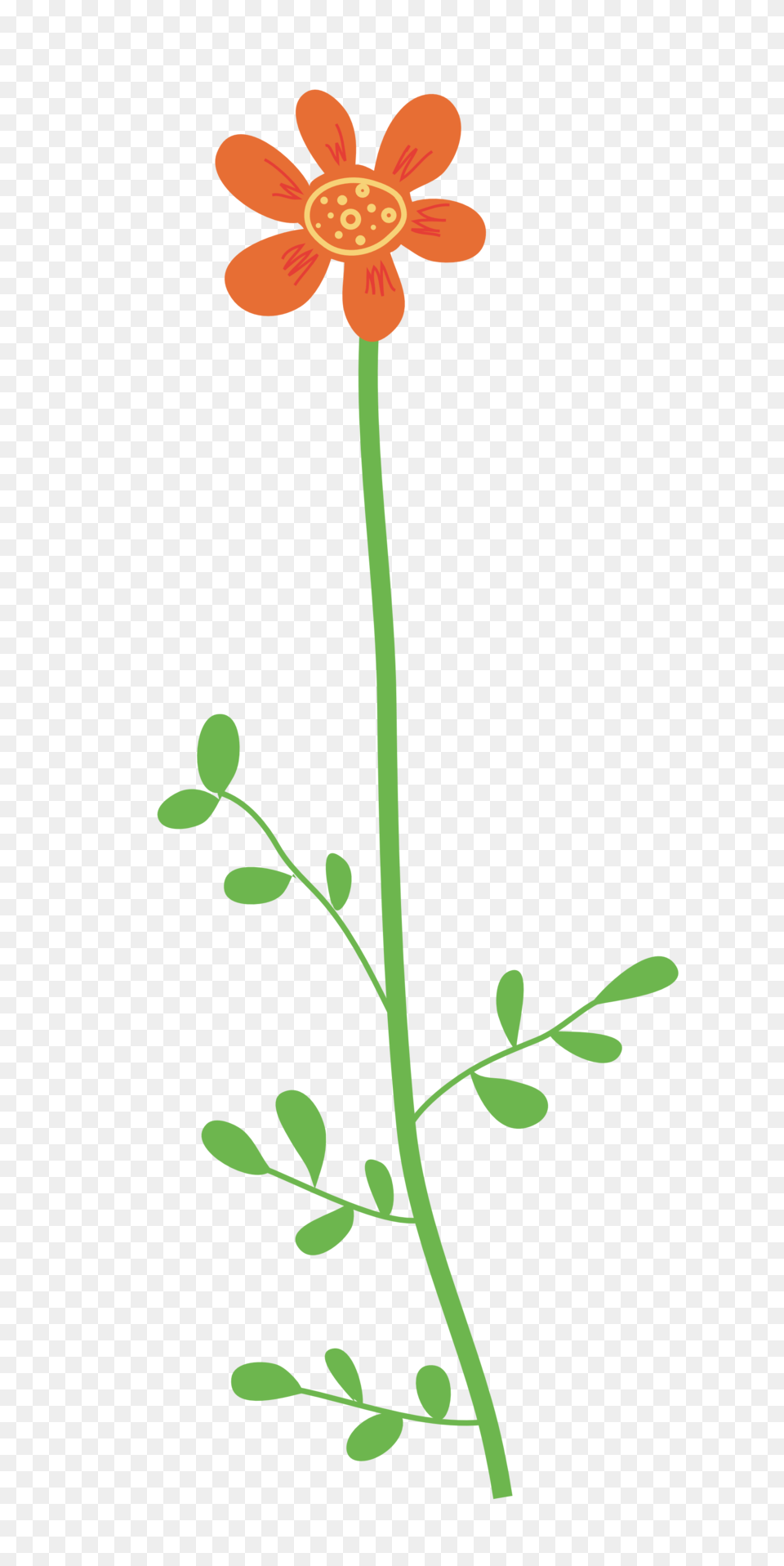 Image, Anther, Flower, Plant, Petal Png