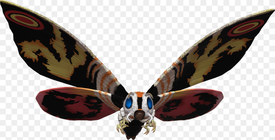 Image, Insect, Animal, Bee, Wasp Free Transparent Png