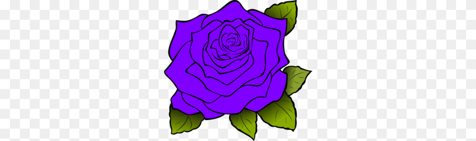 Image, Flower, Plant, Rose, Pattern Free Transparent Png
