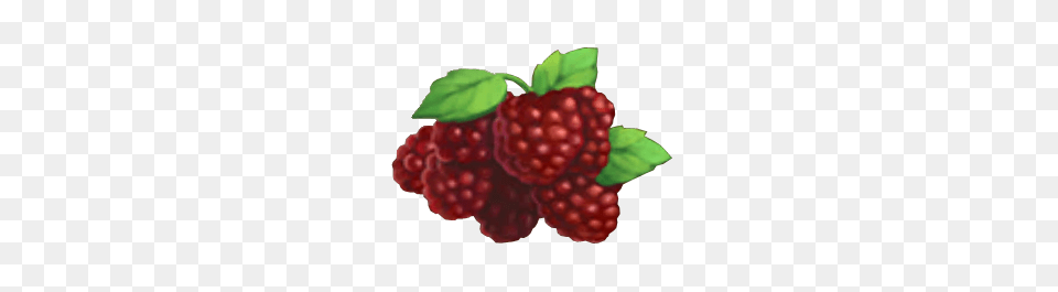 Image, Berry, Food, Fruit, Plant Free Png Download