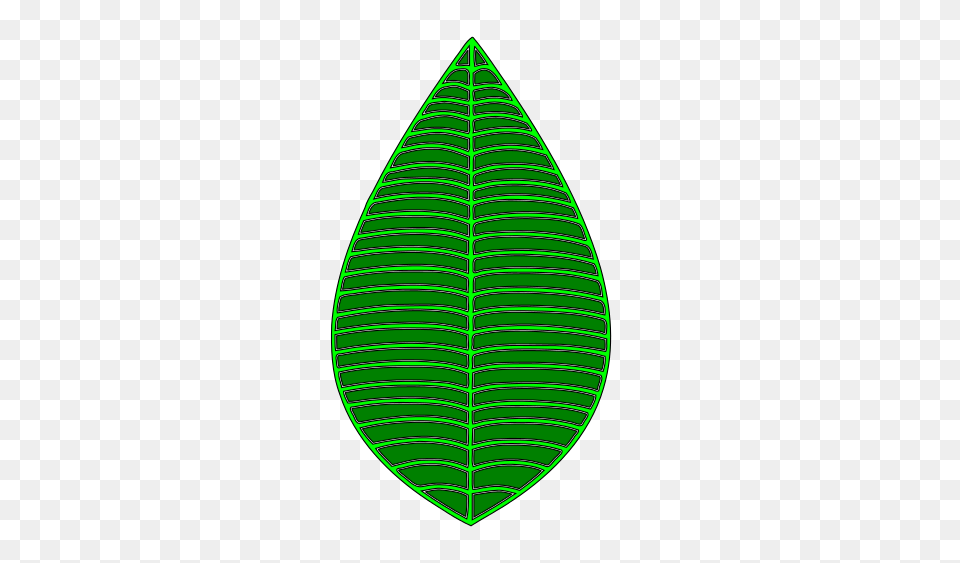 Image, Leaf, Plant Free Transparent Png