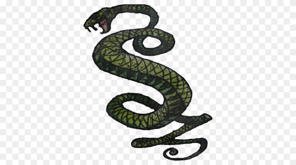 Image, Animal, Reptile, Snake Free Transparent Png
