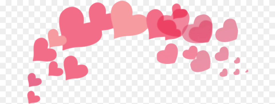 Flower, Petal, Plant Png Image