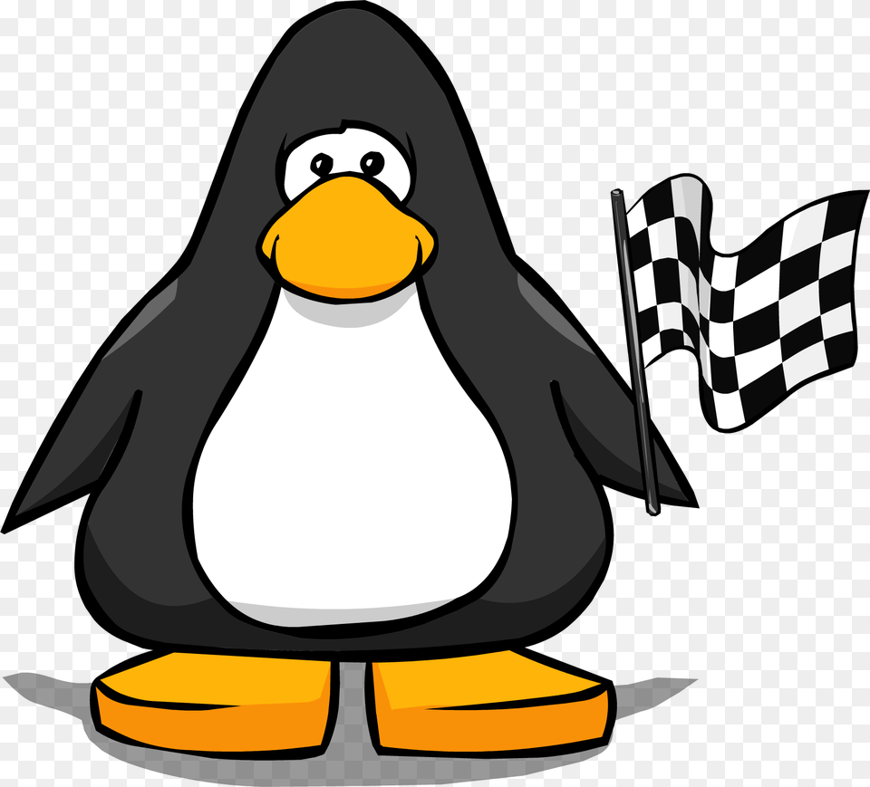 Image, Animal, Bird, Penguin Free Png