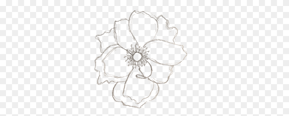 About Apotheca Flowers Wedding Sketch, Accessories, Jewelry, Art, Anemone Png Image