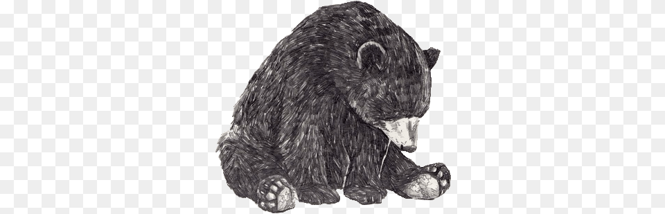 Image About Bear In Random Shit By Nna Bear Black And White, Animal, Black Bear, Mammal, Wildlife Free Transparent Png