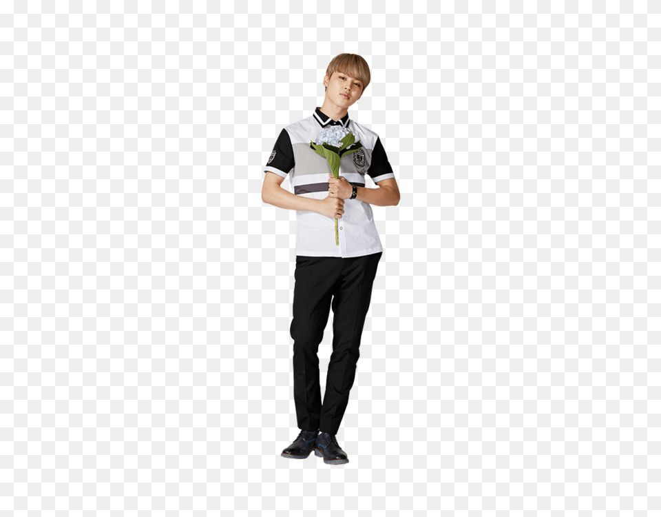 Image About Bts In, Accessories, T-shirt, Shirt, Plant Free Transparent Png