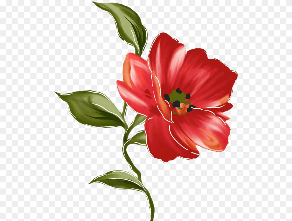 Image About Floral In By Orang Lord Cuore D Amore Amicizia, Flower, Plant, Anther, Petal Png