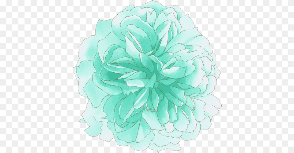 Image About Flower In Cute Transparents By Flores Acuarela Verde, Dahlia, Plant, Carnation, Paper Free Png