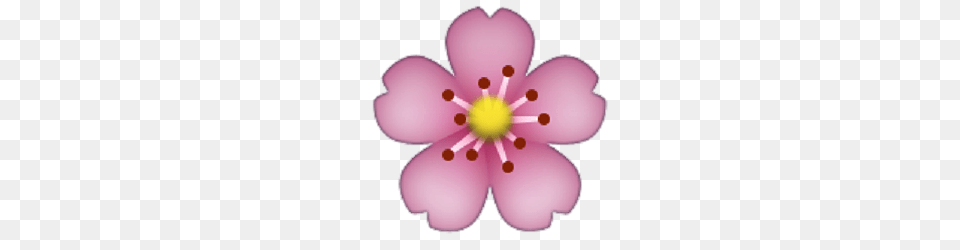 Image About Flower In Emoji, Anemone, Anther, Petal, Plant Png