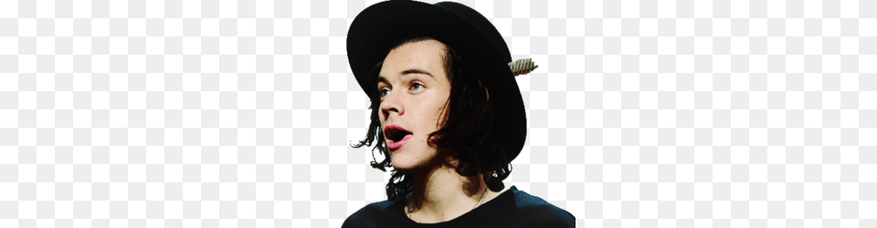 Image About One Direction In Renders, Adult, Sun Hat, Person, Woman Free Png