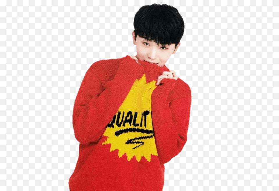 About Seventeen In Woozi, Knitwear, Sweater, Clothing, Person Png Image