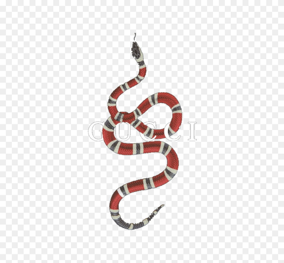 Image About Text In, Animal, King Snake, Reptile, Snake Png