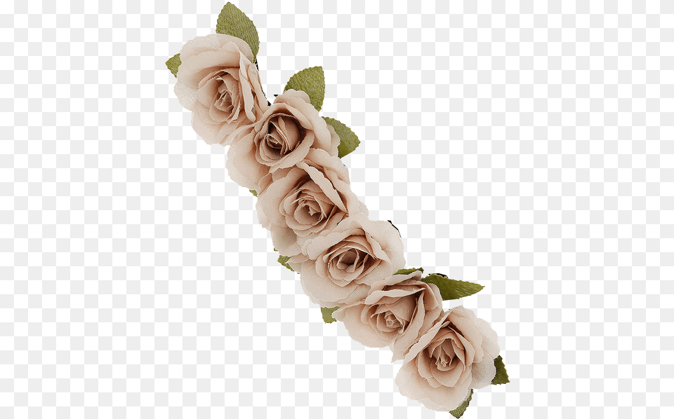 Image About Tumblr In Transparents Beige Flower Crown, Flower Arrangement, Flower Bouquet, Plant, Rose Free Png Download