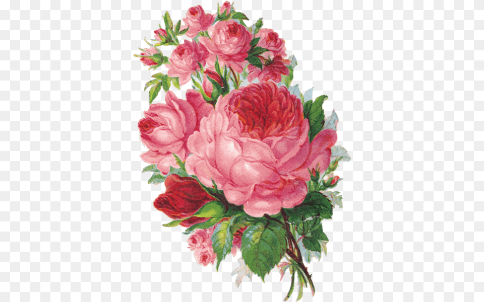 Image About Vintage In By Baka Watercolor Roses Painting, Plant, Flower, Dahlia, Flower Bouquet Png