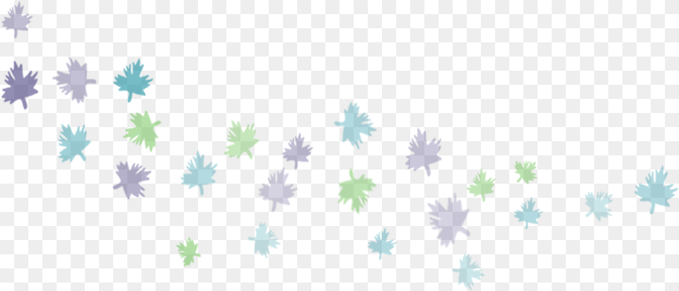 African Daisy, Leaf, Plant, Tree Png Image