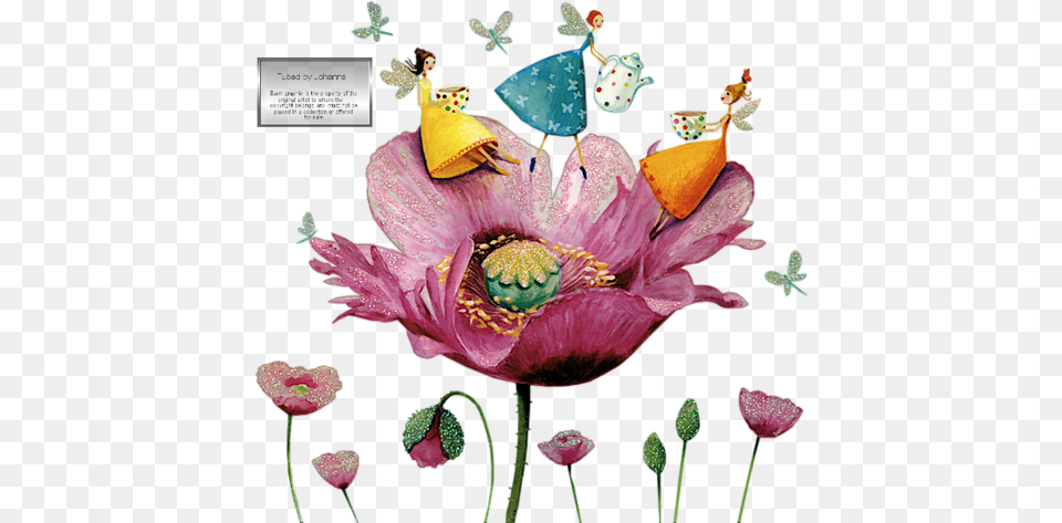 Image Album Artwork Illustration Artists Book Art Drawing, Flower, Petal, Plant, Pattern Free Png Download